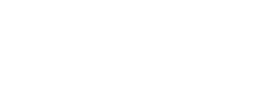 Nupi Logo Nupi